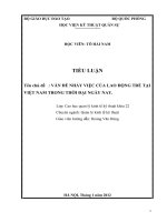 VẤN ĐỀ NHẢY VIỆC CỦA LAO ĐỘNG TRẺ TẠI VIỆT NAM TRONG THỜI ĐẠI NGÀY NAY