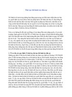 Thủ tục thi hành án dân sự