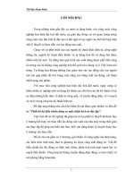 Thiết kế bộ điều khiển động cơ một chiều kích từ độc lập