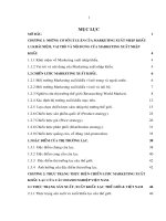 Thực trạng thực hiện chiến lược Marketing xuất khẩu lạc của các doanh nghiệp Việt Nam