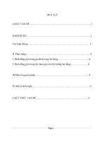 vấn đề bình đẳng giới giữa các thành viên trong gia đình trong lao động và tham gia vào thị trường lao động