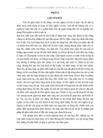 Các giải pháp phát triển nền kinh tế thị trường định hướng xã hội chủ nghĩa ở nước ta hiện nay