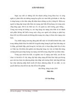 KẾT HỢP GIỮA MAC VÀ GIAO THỨC ĐỊNH TUYẾN MERLIN