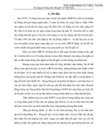 Các cuộc chiến tranh ở Việt Nạm bị ảnh hưởng bởi mâu thuẫn Xô-Trung