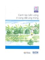 Kỹ thuật canh tác trên vùng đất úng trũng