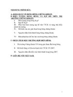 Thị trường Chúng khoán VN trong giai đoạn đầu bong bóng