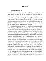 Xóa đói giảm nghèo dân tộc thiểu số Việt Nam