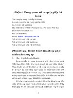 Tổng quan về công ty giấy Bãi Bằng