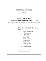 the intergrated competing values framework