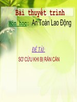 SƠ CỨU KHI BỊ RẮN CẮN