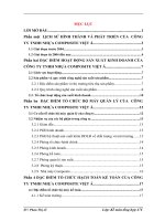 TÌNH HÌNH HOẠT ĐỘNG SẢN XUẤT KINH DOANH VÀ TỔ CHỨC HẠCH TOÁN KẾ TOÁN  CỦA CÔNG TY NHỰA COMPOSITE VIỆT Á