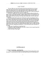 đánh giá chính sách phân phối của một số công ty dược nước ngoài đang kinh doanh trên thị trường Việt nam