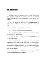 Tổng quan về công ty cơ giới lắp máy và xây dựng