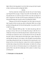 Phân tích nội dung pháp lý của chế tài hình sự trong việc thực thi quyền sở hữu trí tuệ theo quy định của Hiệp định TRIPS