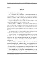 TÌm hiểu hoạt động công ty Tân Quang Minh và đề xuất phương hướng phát triển