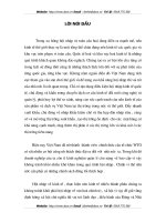 Nâng cao vai trò và hiệu lực quản lý kinh tế của nhà nước trong điều kiện hội nhập kinh tế quốc tế của Việt Nam