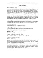 Thị trường bán lẻ ở Việt Nam- Thực trạng và giải pháp