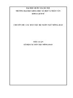 CÁC DÂN TỘC HỆ NGÔN NGỮ MÔNG-DAO