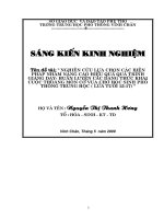 NGHIÊN CỨU LỰA CHỌN CÁC BIỆN  PHÁP NHẰM NÂNG CAO HIỆU QUẢ QUÁ TRÌNH GIẢNG DẠY- HUẤN LUYỆN CÁC DẠNG THỨC KHAI CUỘC THOÁNG MÔN CỜ VUA CHO HỌC SINH PHỔ THÔNG TRUNG HỌC ( LỨA TUỔI 15-17)