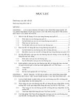 Rào cản thương mại của Mỹ đối với hàng dệt may Việt Nam  - Thực trạng và giải pháp