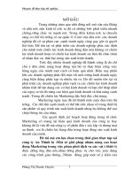 670 Nâng cao hoạt động Marketing trong việc phân phối dịch vụ các vật tư thiết bị điện, đường ống dãn nước,nhựa đường…