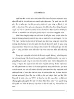 Giải pháp thúc đẩy xuất khẩu hàng dệt may của Công ty Cổ phần may Sông Hồng sang thị trường Mỹ