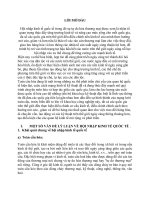 MỘT SỐ VẤN ĐỀ LÝ LUẬN VỀ HỘI NHẬP KINH TẾ QUỐC TẾ