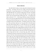 Đa dạng hóa dịch vụ internet ADSL cho khách hàng người tiêu dùng cá nhân của Viettel