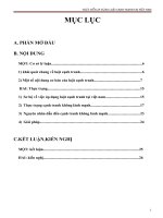 THỰC TIỂN ÁP DỤNG LUẬT CẠNH TRANH TẠI VIỆT NAM