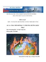 THAY ĐỔI KHÍ HẬU VÀ PHƯƠNG HƯỚNG KHẮC PHỤC