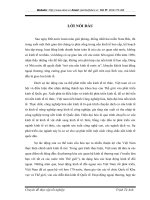 Pháp luật về nhập khẩu và Thực trạng áp dụng tại Công ty Cổ Phần Thiết bị Thắng Lợi