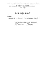 Nội dung và ý nghĩa của Bảo hiểm xã hội
