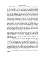 731 Một số giải pháp Marketing cho sản phẩm trà LEROS thâm nhập vào thị trường VN