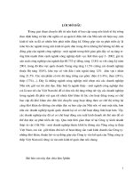 Tổng quan về tổng công ty thép Việt Nam