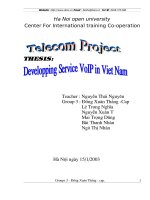 Developping service voip in Viet  Nam
