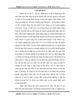 Hoàn thiện kế toán tiêu thụ và xác định kết quả kinh doanh tại Công ty Sơn tĩnh điện Việt Thái