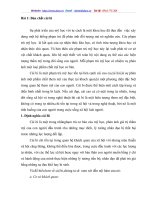 Bản chất cái bi