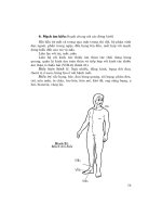 nhịp sinh học với dịch học trong văn hóa