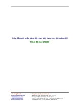 Thực trạng và giải pháp thúc đẩy xuất khẩu hàng dệt may Việt Nam vào  thị trường Mỹ