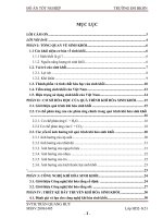 Thiết kế hệ thống thiết bị khí hóa sinh khối năng suất nhỏ phục vụ nhu cầu cung cấp năng lượng cho nông nghiệp nông thôn