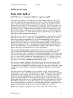 Xuất khẩu cá tra và cá basa của Việt Nam sang thị trường Mỹ