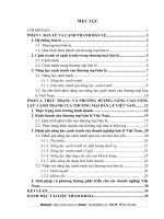 THỰC TRẠNG VÀ PHƯƠNG HƯỚNG NÂNG CAO NĂNG LỰC CẠNH TRANH CỦA THƯƠNG MẠI BÁN LẺ VIỆT NAM