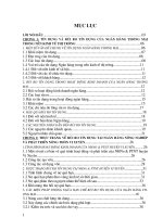 Thực trạng về rủ ro tín dụng tại ngân hàng nông nghiệp và phát triển nông thôn