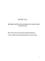 Nền văn hóa Việt Nam thời kỳ hội nhập (1995 đến nay)