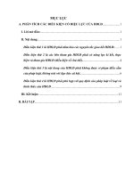 PHÂN TÍCH CÁC ĐIỀU KIỆN CÓ HIỆU LỰC CỦA HĐLĐ