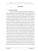 Giải pháp Marketing - Mix cho sản phẩm của công ty Cổ phần XNK Thủy sản Hà Nội xuất khẩu vào thị trường Mỹ