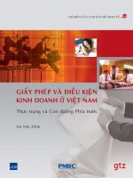 giấy phép và điều kiện kinh doanh ở Việt Nam