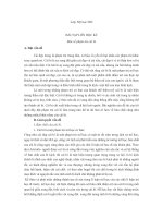 cái bi là một hiện tượng thẩm mỹ đặc biệt