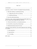 Sự cần thiết của marketing địa phương trong việc thu hút đầu tư tại các địa phương ở Việt Nam hiện nay