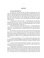 phối hợp rèn luyện kỹ năng giải toán  phương trình với phát triển tư duy hàm cho học sinh THPT